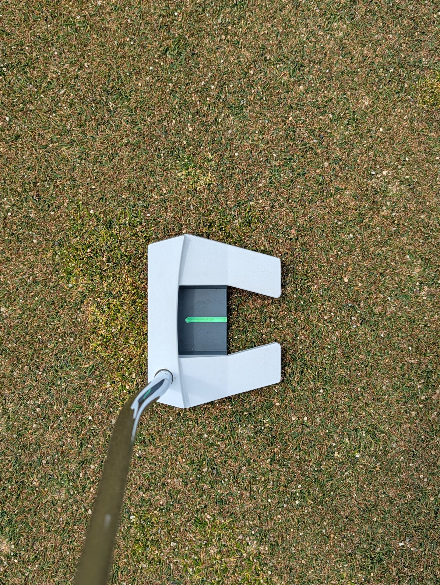 Heights Mallet Putter