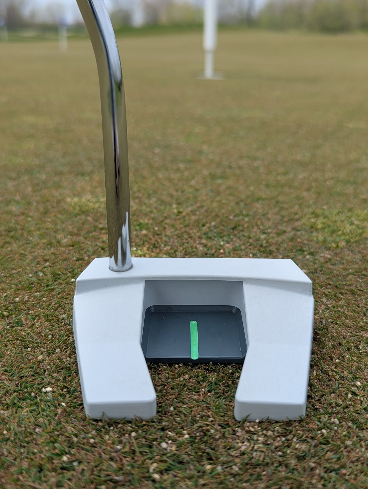 Heights Mallet Putter